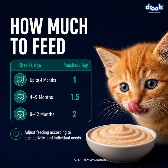 Drools Tuna Mousse Kitten Food for Cat