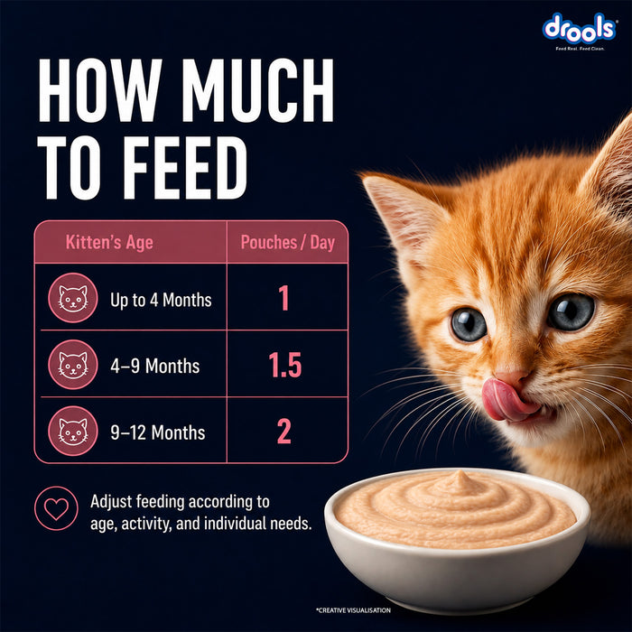 Drools Salmon Mousse Kitten Food for Cat