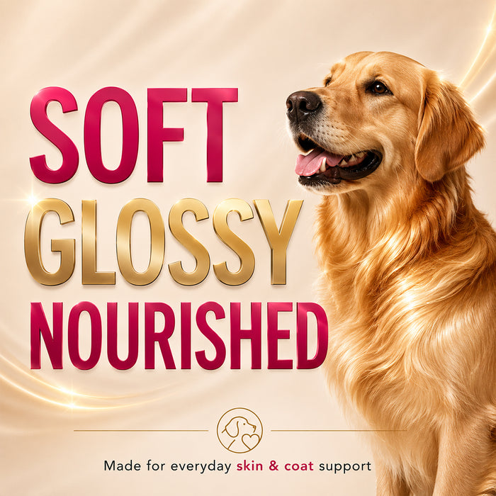 Drools Absolute Skin & Coat Tablets for Dog