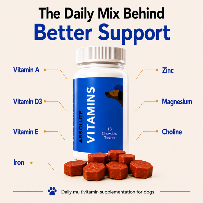 Drools Absolute Vitamin Tablet for Dogs