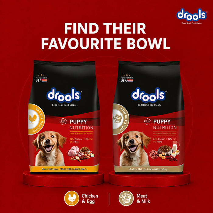 Drools Meat and Milk Puppy Food for Dog