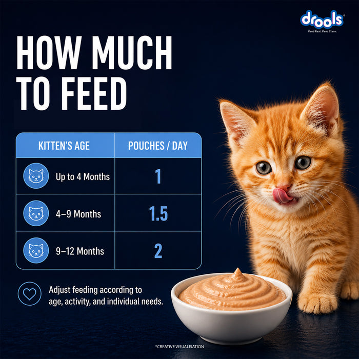 Drools Ocean Fish Mousse Kitten Food for Cat