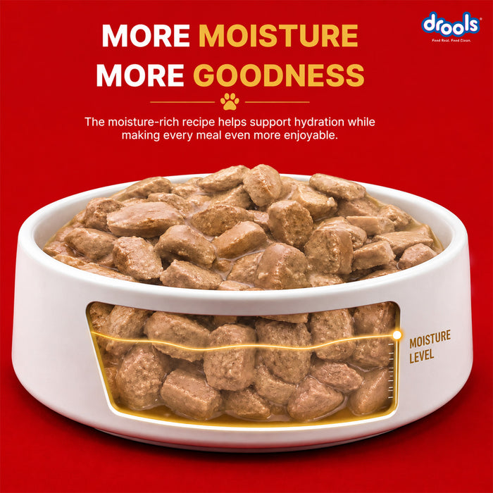 Drools Adult Chicken Chunks Gravy Food for Dogs