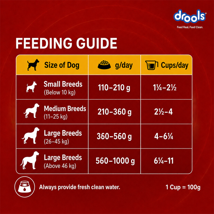 Drools Fish and Rice Adult Food for Dog
