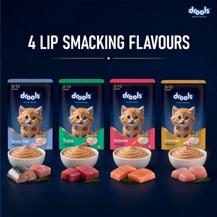 Drools Chicken Mousse Kitten Food for Cat