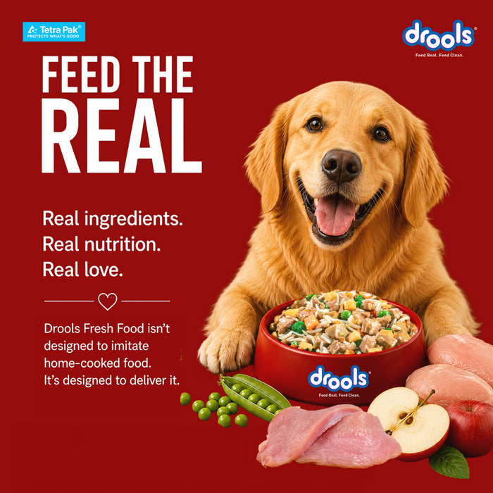 Drools Tetra Pack Real Chicken and Turkey Food for Dog