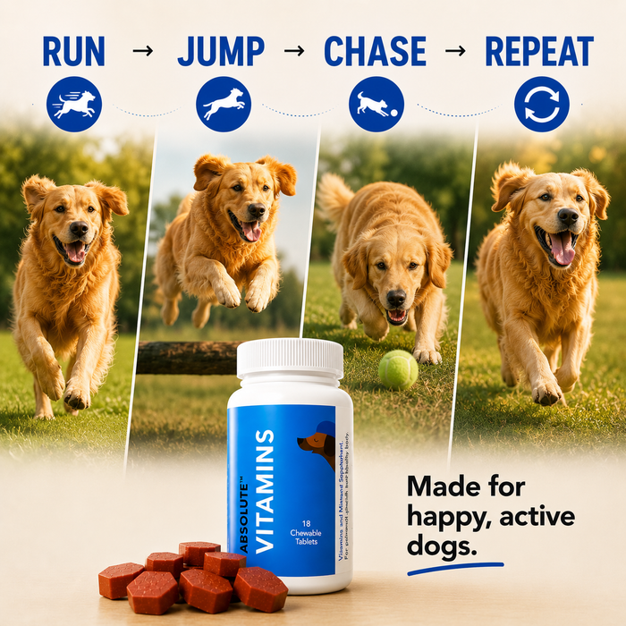 Drools Absolute Vitamin Tablet for Dogs