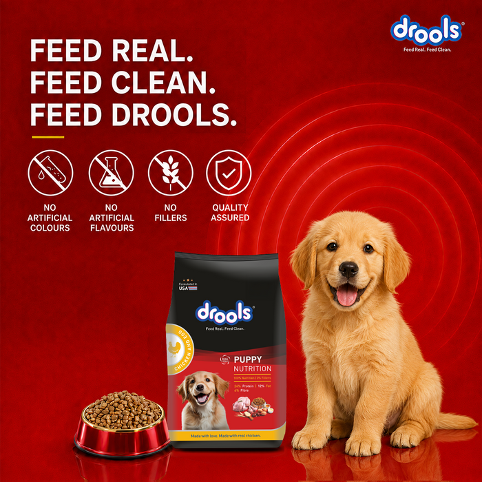 Drools Chicken Egg Puppy Food for Dog