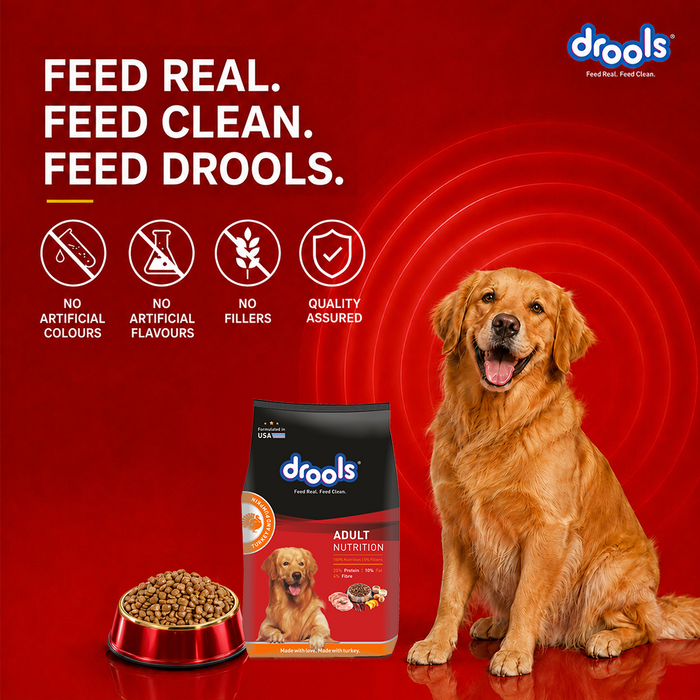 Drools Turkey with Wild Rice and Pumpkin Chunks in Gravy Adult Food for Dog
