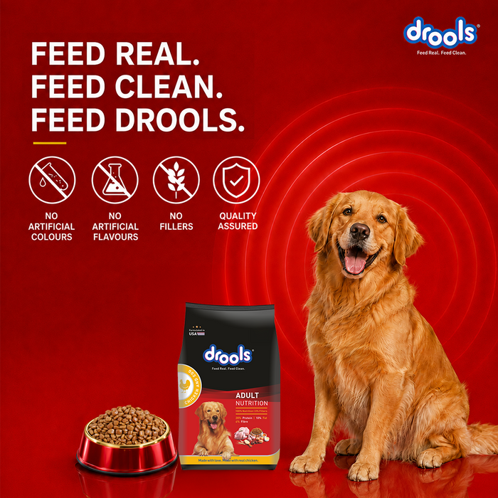Drools CEA Food for Dog