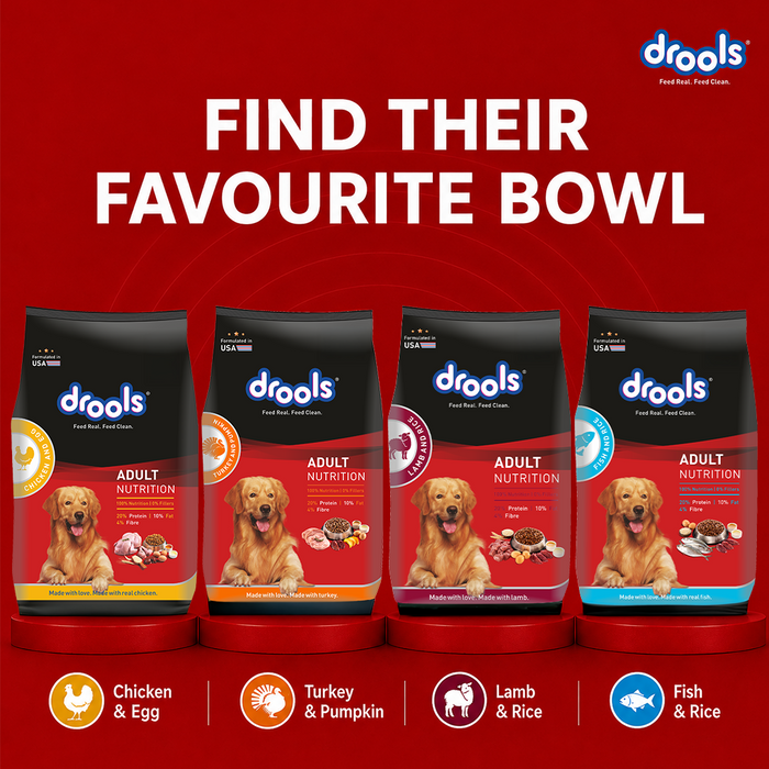 Drools CEA Food for Dog