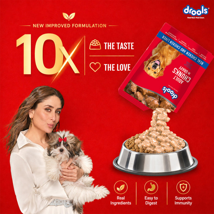 Drools Adult Chicken Chunks Gravy Food for Dogs