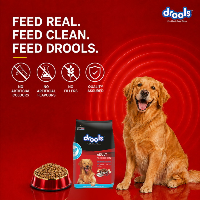 Drools Fish and Rice Adult Food for Dog