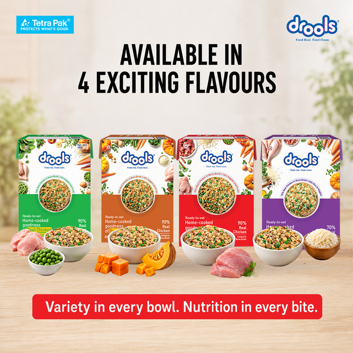 Drools Tetra Pack Real Chicken and Turkey Food for Dog
