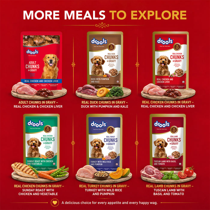 Drools Adult Chicken Chunks Gravy Food for Dogs
