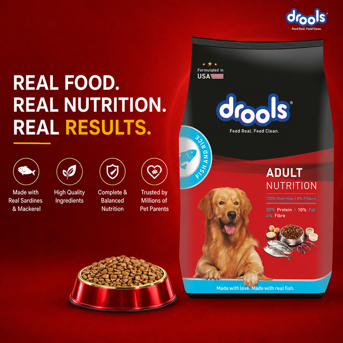 Drools Fish and Rice Adult Food for Dog