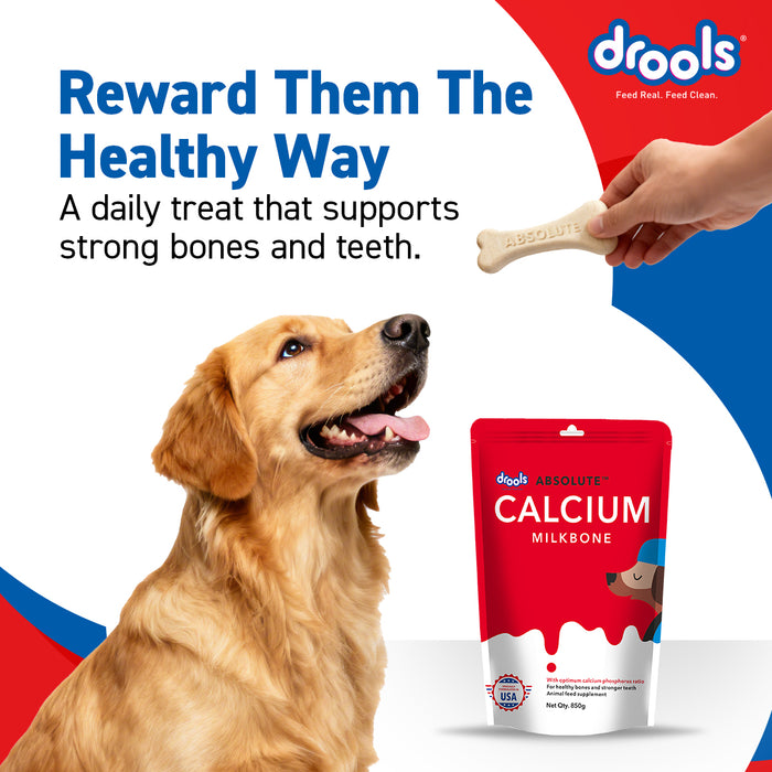 Drools Absolute Calcium Bone for Dogs