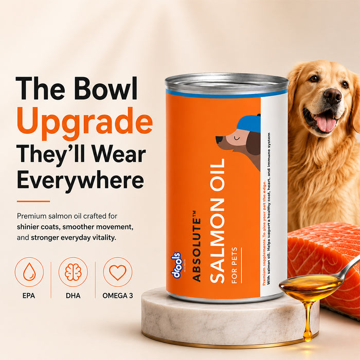 Drools Absolute Salmon Oil Syrup for Dog