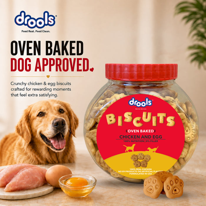 Drools Chicken and Egg Biscuit Treats for Dog