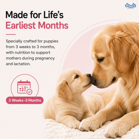 Drools Chicken and Egg Mother & Puppy Dry Food for Dog