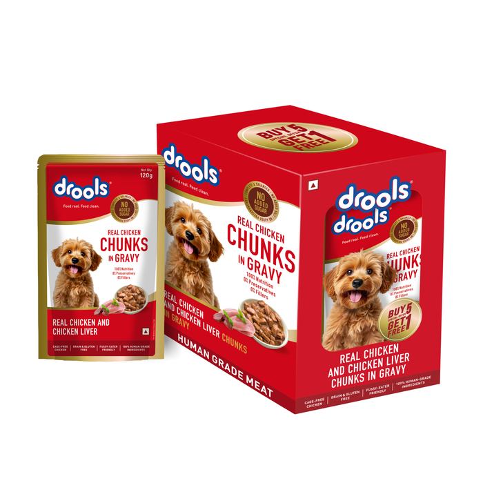Drools Real Chicken and Liver Chunks in Gravy Adult Food for Dog