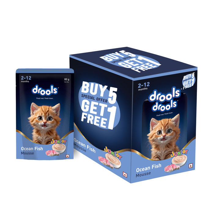Drools Ocean Fish Mousse Kitten Food for Cat