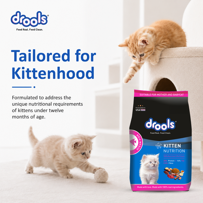 Drools Kitten Ocean Fish Food for Cat