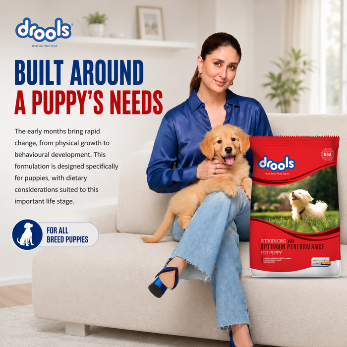 Drools Optimum Performance Puppy Food for Dog