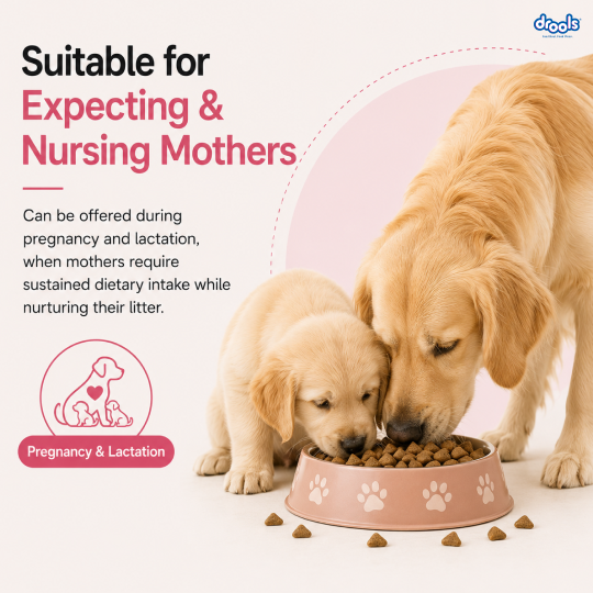 Drools Chicken and Egg Mother & Puppy Dry Food for Dog