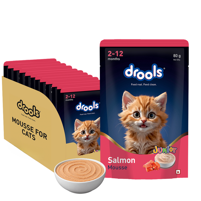 Drools Salmon Mousse Kitten Food for Cat