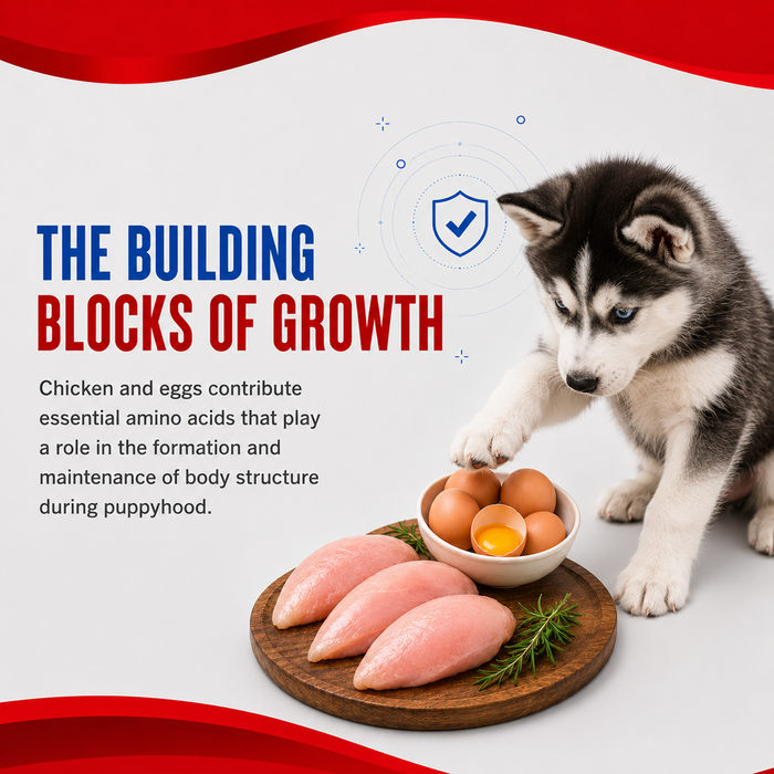 Drools Optimum Performance Puppy Food for Dog