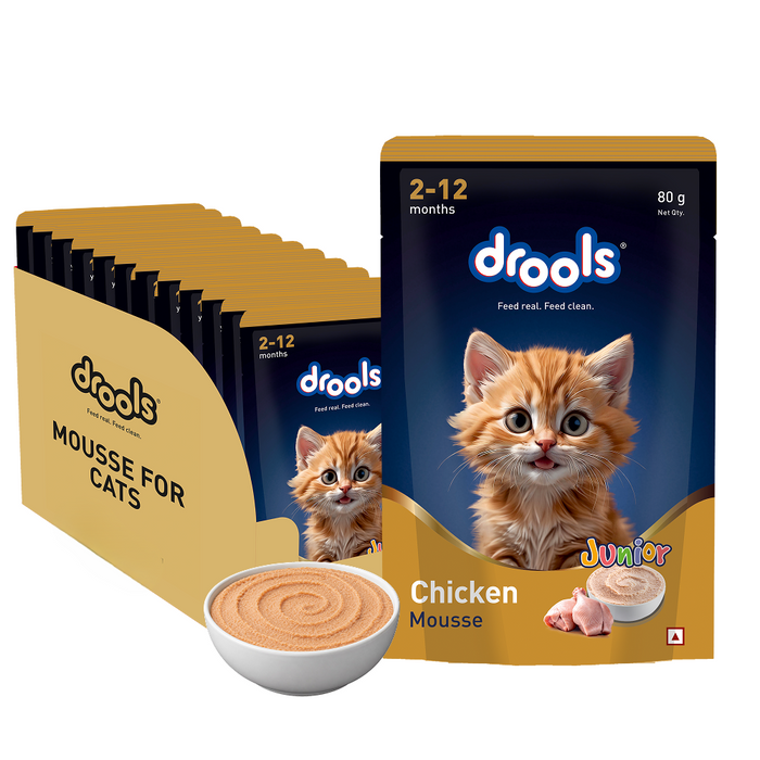 Drools Chicken Mousse Kitten Food for Cat