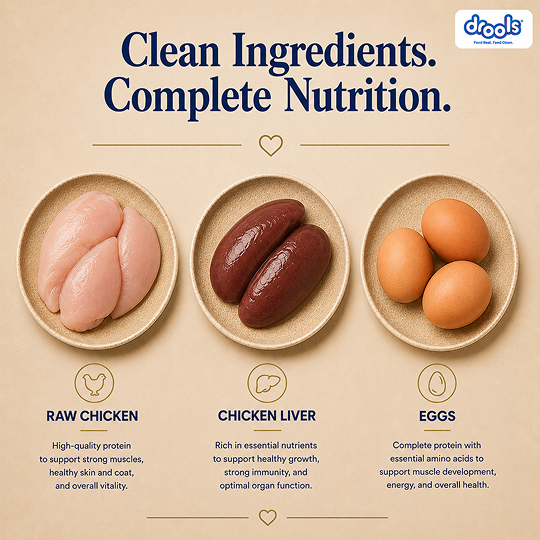 Drools Cat Real Chicken Food for Cat