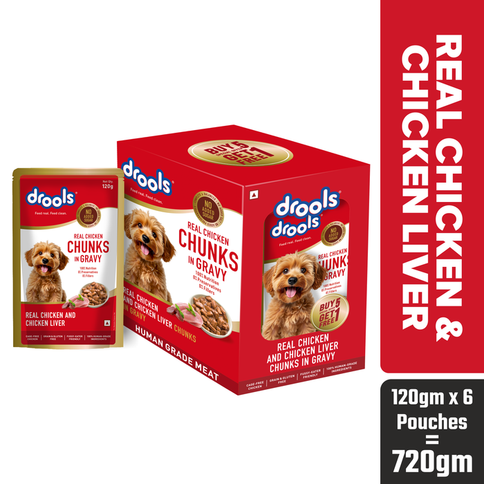 Drools Real Chicken and Liver Chunks in Gravy Adult Food for Dog