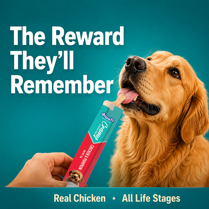 Drools Creamy Chicken & Pumpkin Sticks Treats for Dog