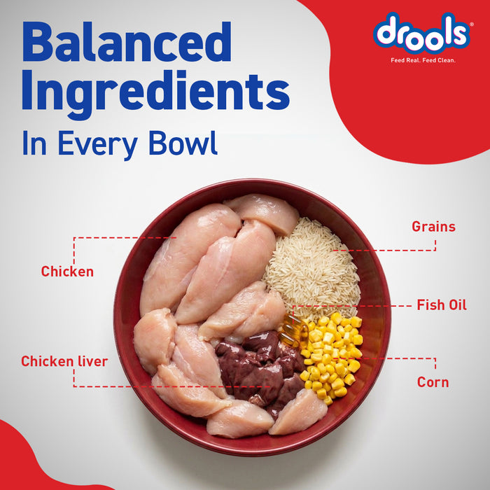 Drools Optimum Performance Adult Food for Dog