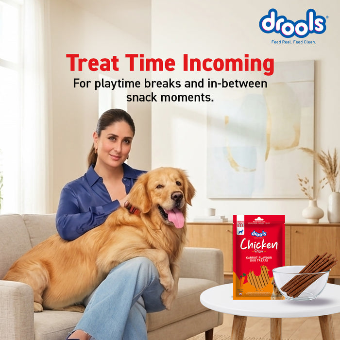 Drools Chicken Carrot Flavor Treats Sticks for Dog