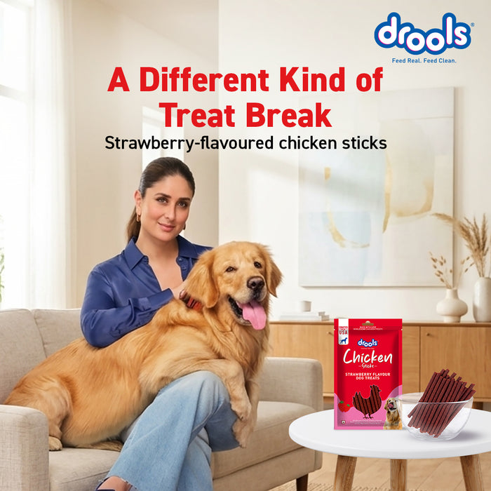 Drools Chicken Strawberry Flavor Treats Sticks for Dog