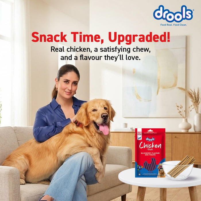 Drools Chicken Blueberry Flavor Treats Sticks for Dog