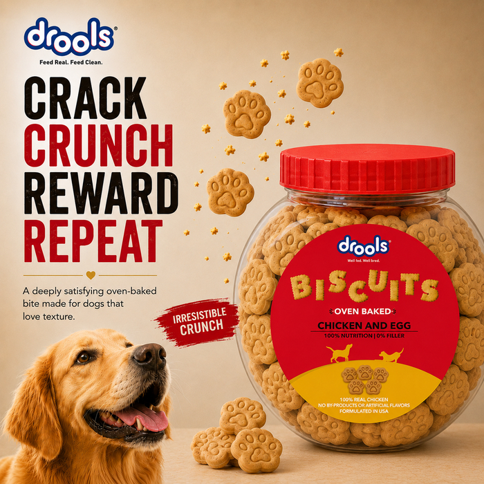 Drools Chicken and Egg Biscuit Treats for Dog