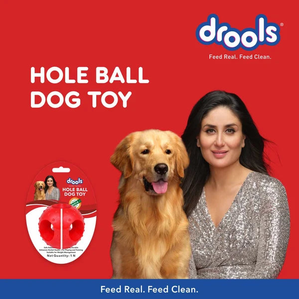 Drools Non-Toxic Rubber Hole Ball Chew Toy for Dog