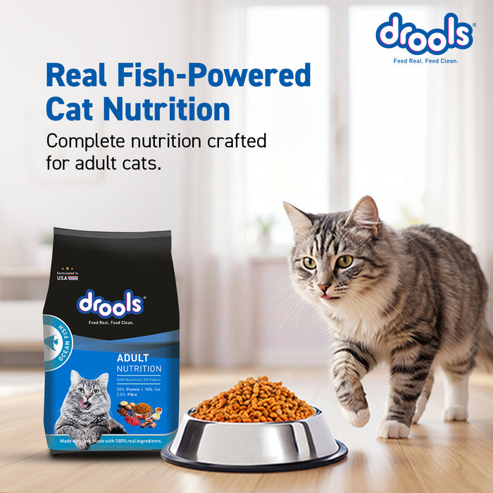 Drools Ocean Fish Adult Food for Cat