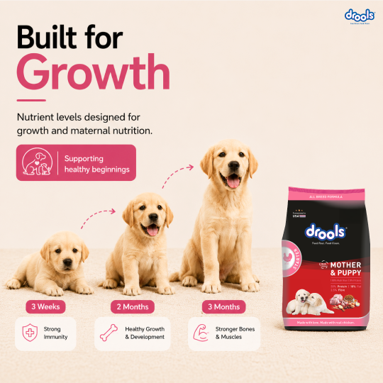 Drools Chicken and Egg Mother & Puppy Dry Food for Dog