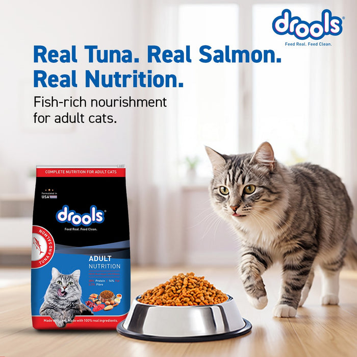 Drools Cat Tuna and Salmon Food for Cat