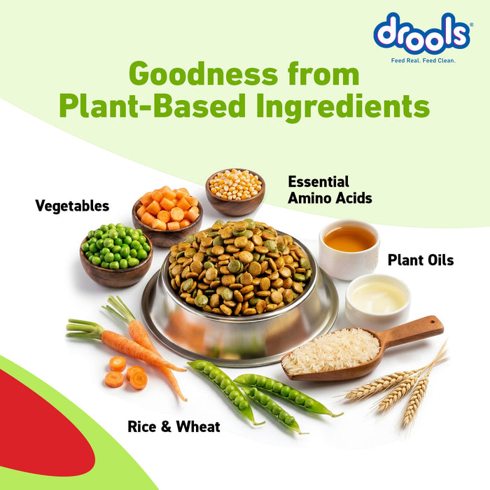 Drools All Lifestages Veg Dry Dog Food for Dog