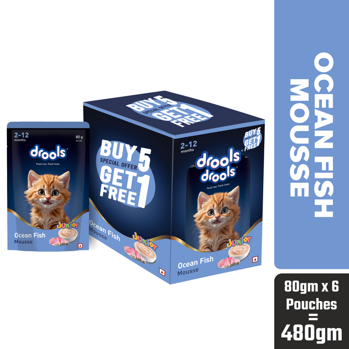 Drools Ocean Fish Mousse Kitten Food for Cat