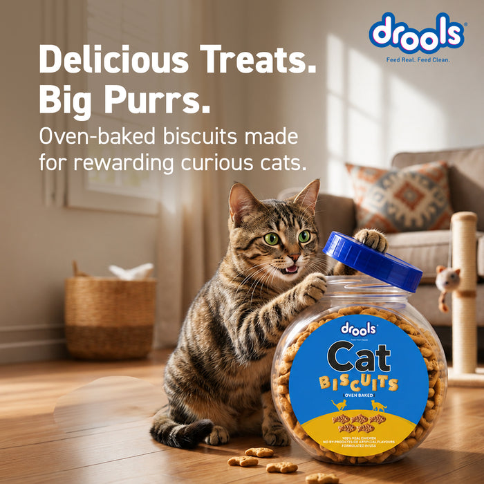 Drools Real Chicken Biscuits Treats for Cat