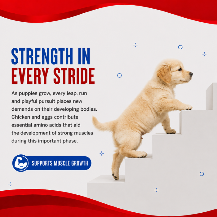 Drools Optimum Performance Puppy Food for Dog