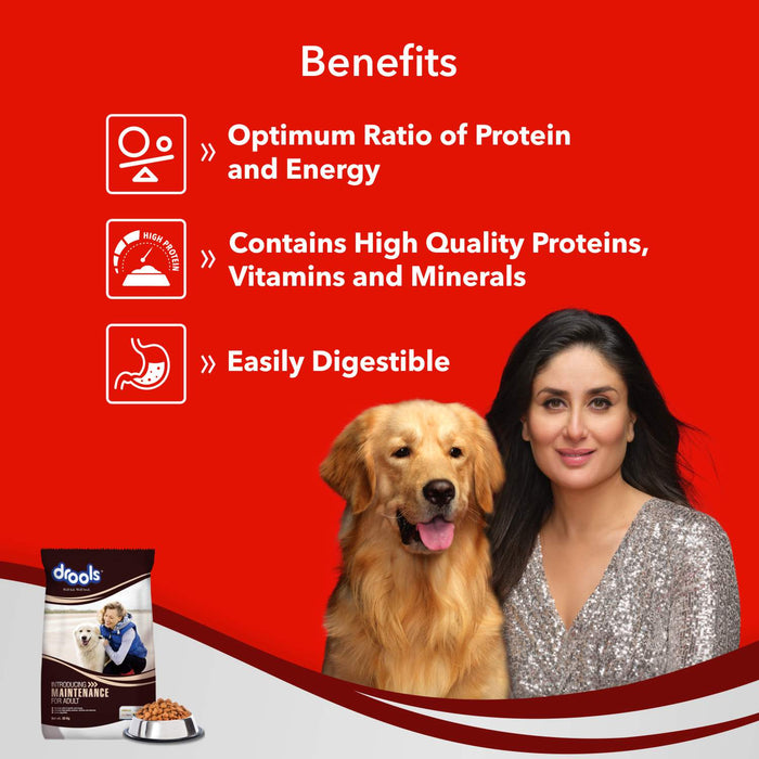 Drools Maintenance Food for Dog