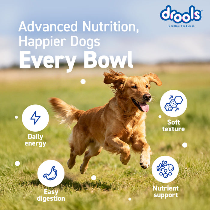 Drools Double Nutrition Adult Food for Dog